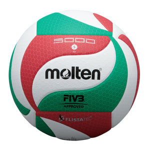 V5M5000 Volleyball
