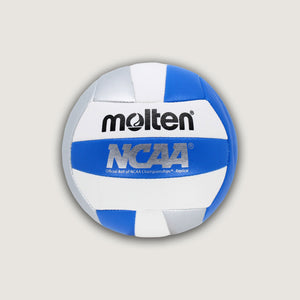 Mini Volleyballs