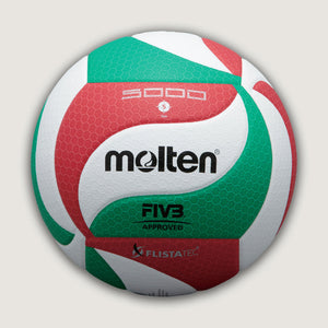 Indoor Volleyballs