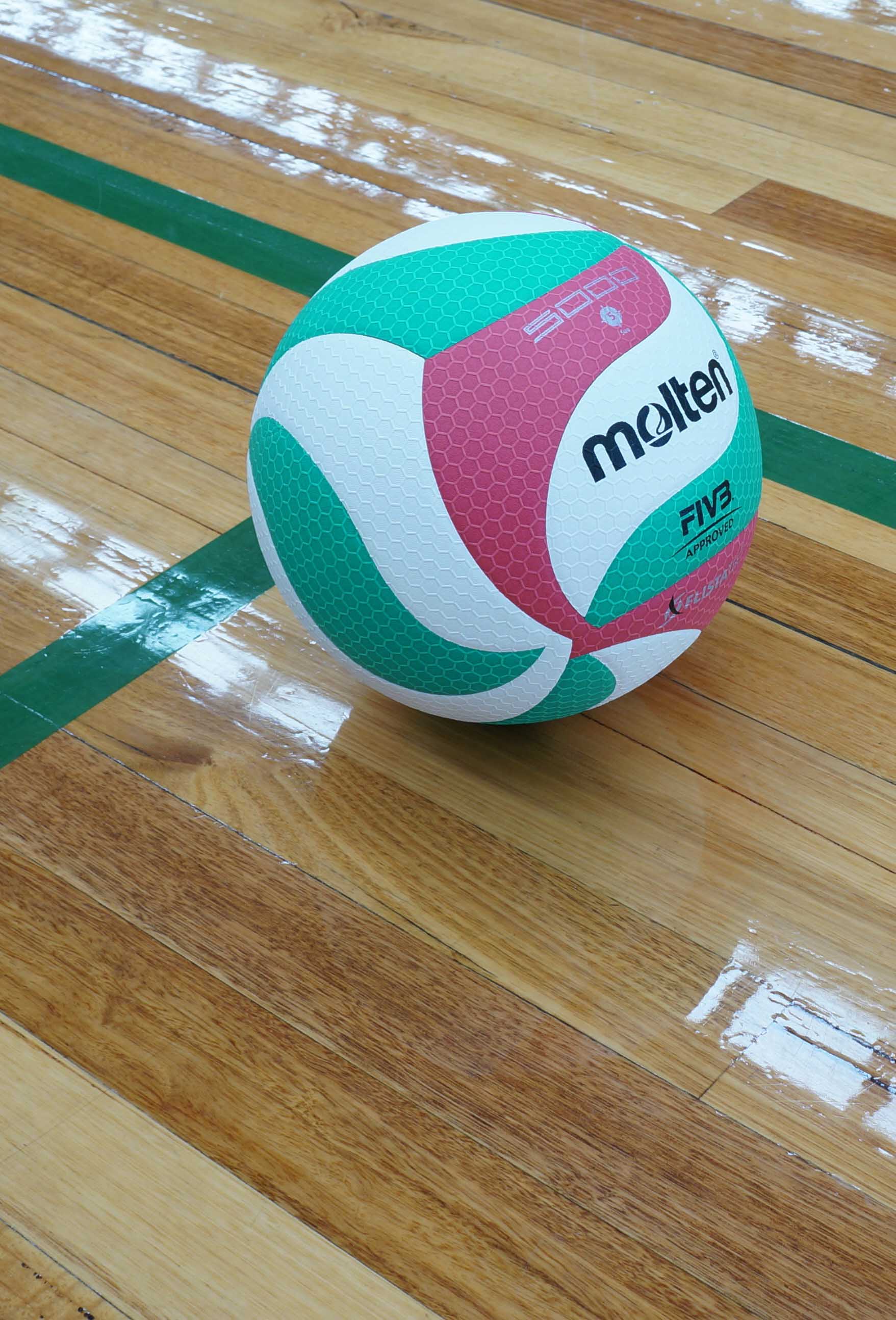 Indoor Volleyballs