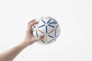 d60 Handball