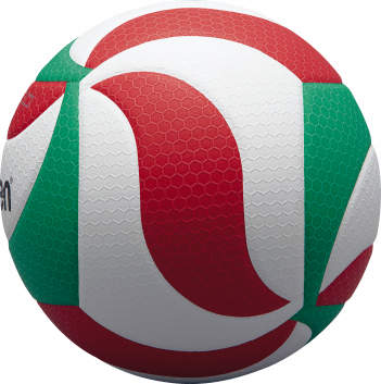 V5M5000 Volleyball