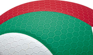 V5M5000 Volleyball